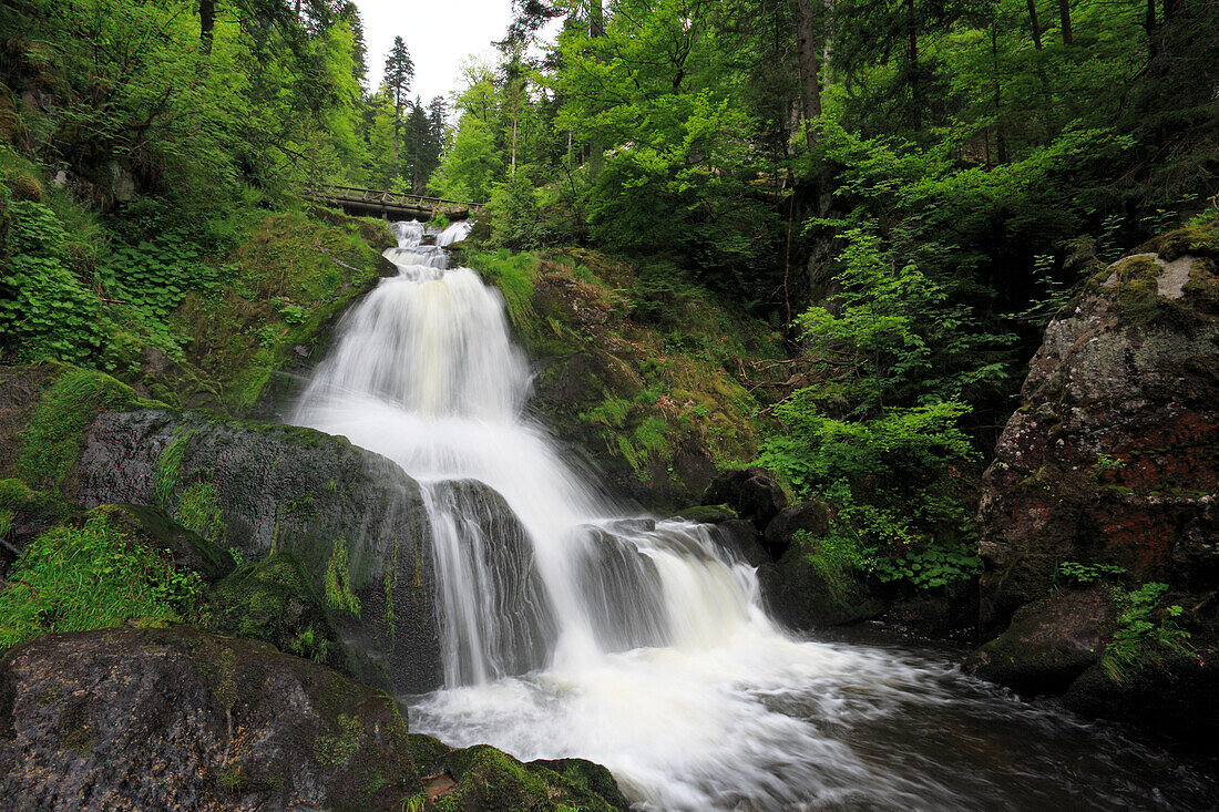 Untere Kaskade der Triberger Wasserfälle, Triberg, Südlicher Schwarzwald, Baden-Württemberg, Deutschland, Europa