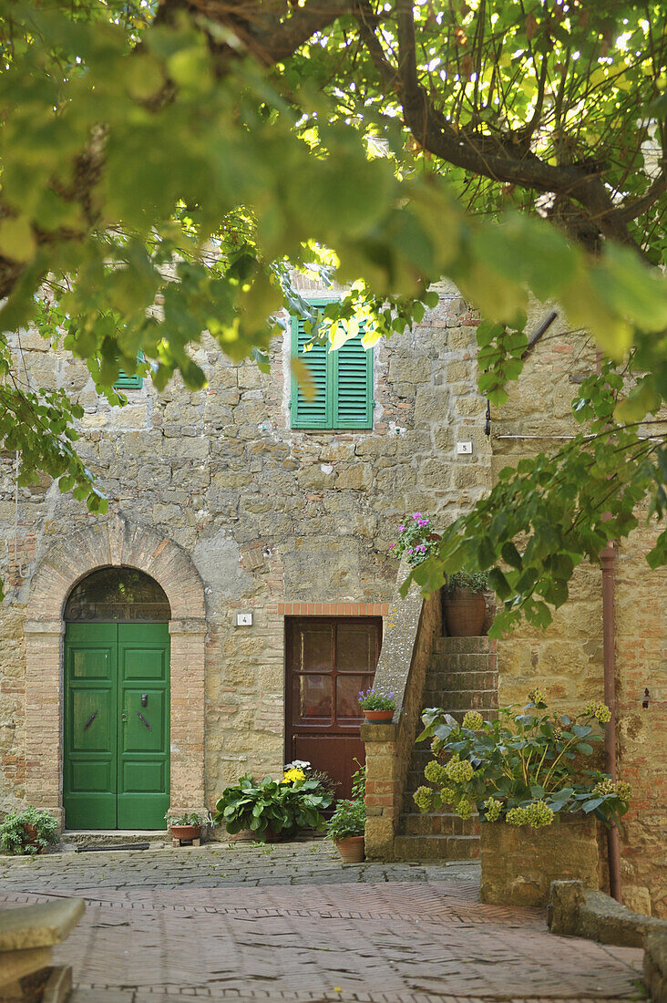 Haus mit grüner Tür und Baum in Monticchiello, Crete, Toskana, Italien, Europa