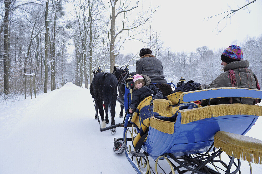Menschen fahren in Pferdeschlitten durch verschneiten Wald, Sachsen, Deutschland, Europa