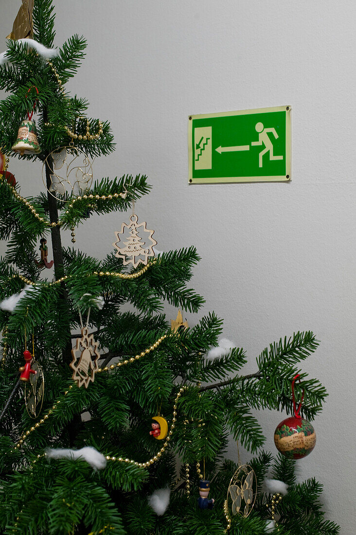 Christmas Tree, Bavaria, Germany