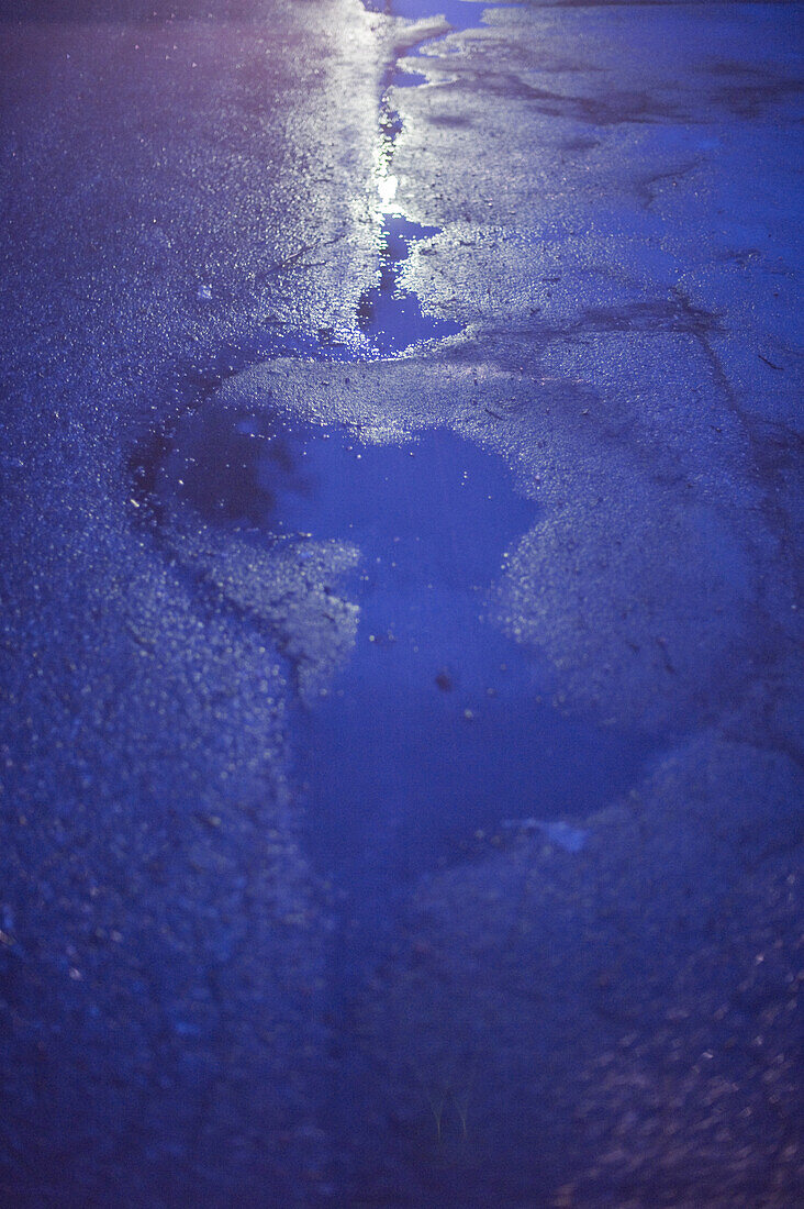 Wet road, Bavaria, Germany