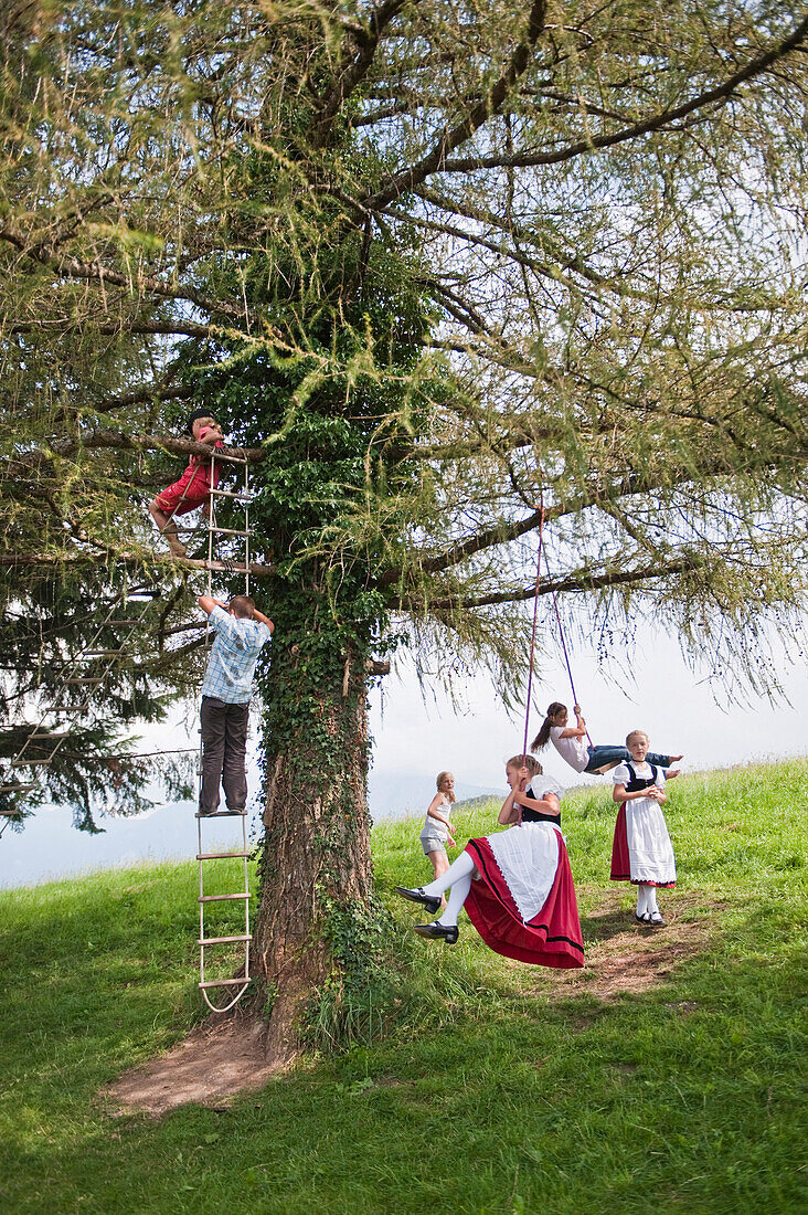 Summer Festival, Kreut Alp, Grossweil, Upper Bavaria, Germany