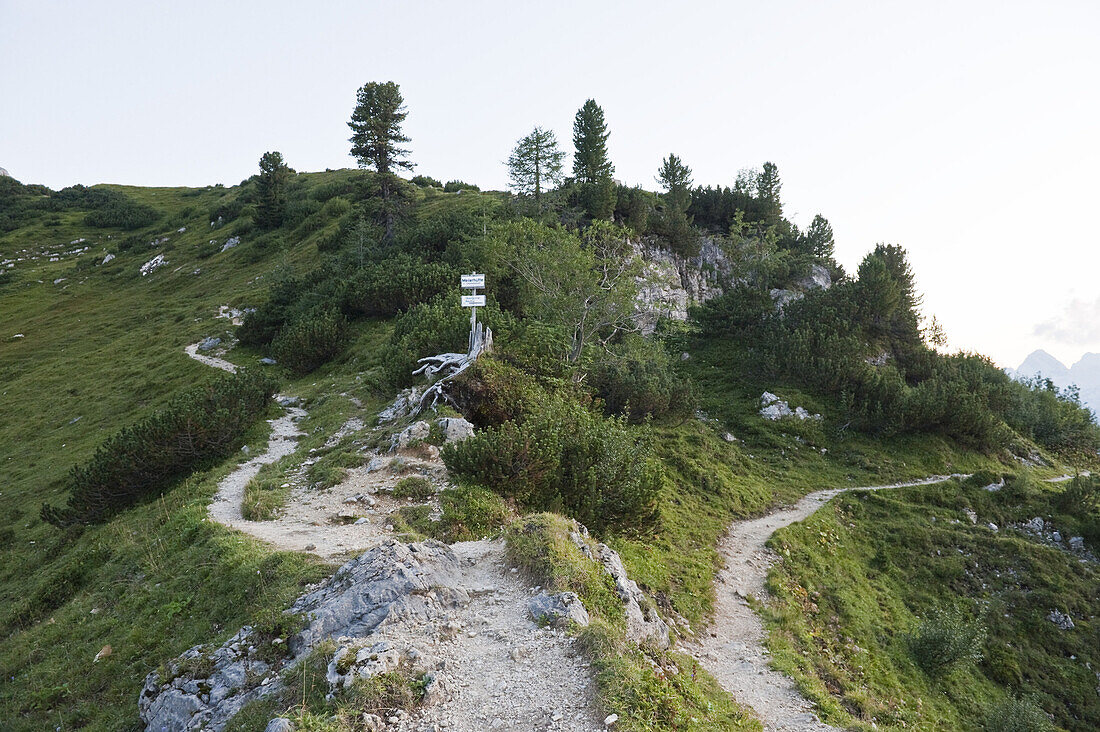 Scenery at mount Schachen, Wetterstein range, Upper Bavaria, Germany