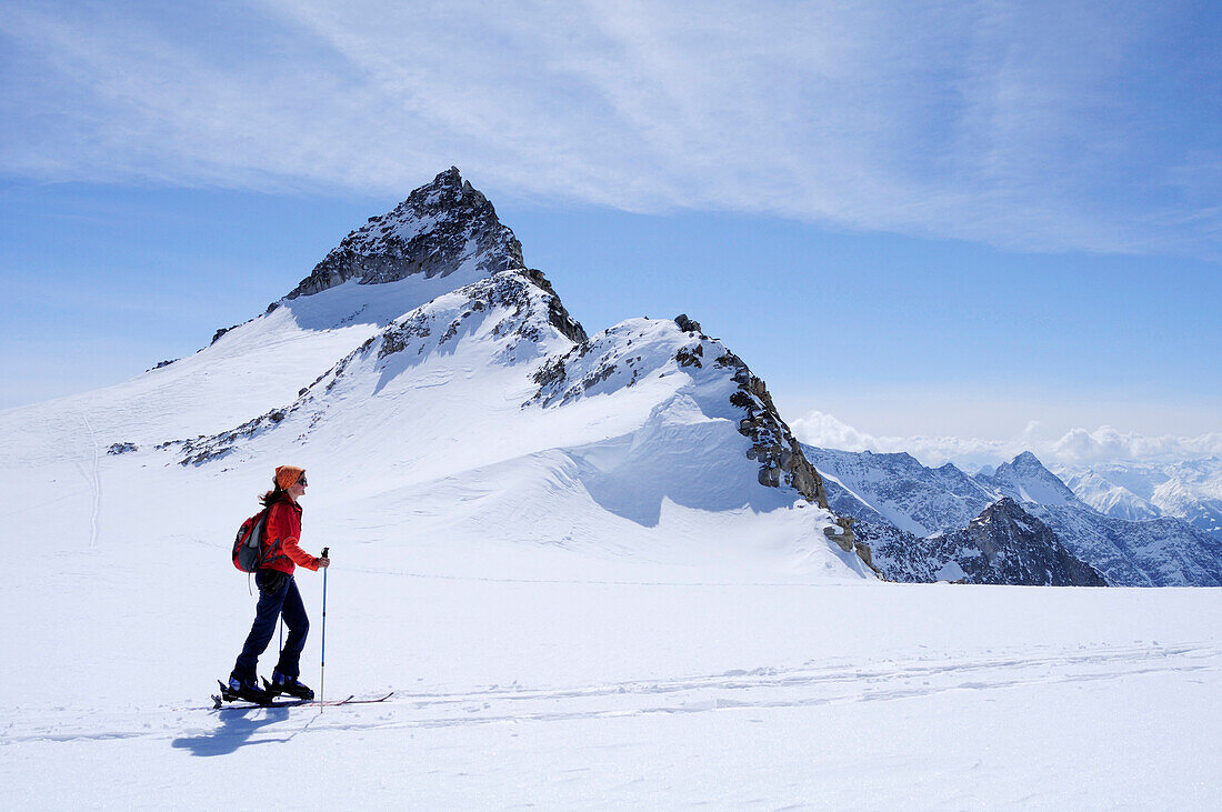 Female backcountry skier ascending to Granatspitze, Granatspitz mountain range, Hohe Tauern, Salzburg, Austria