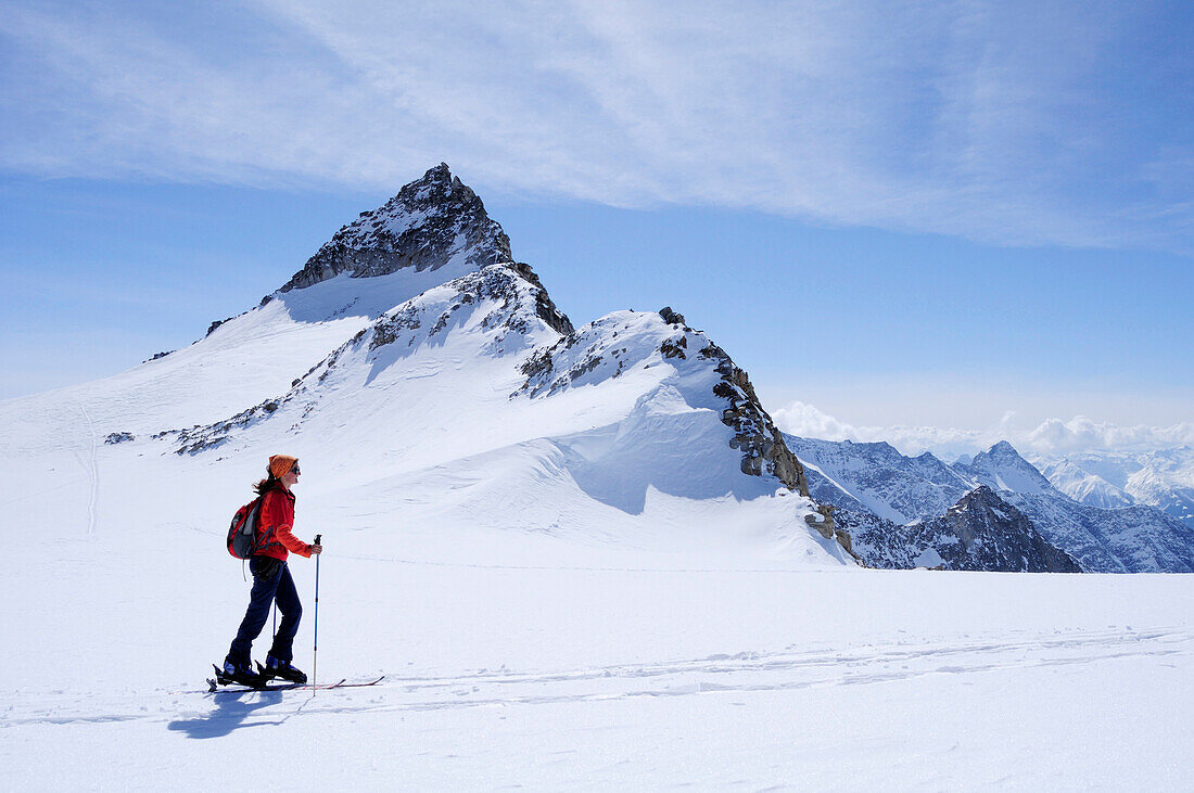Skitourgeherin steigt zur Granatspitze auf, Granatspitzgruppe, Hohe Tauern, Salzburg, Österreich