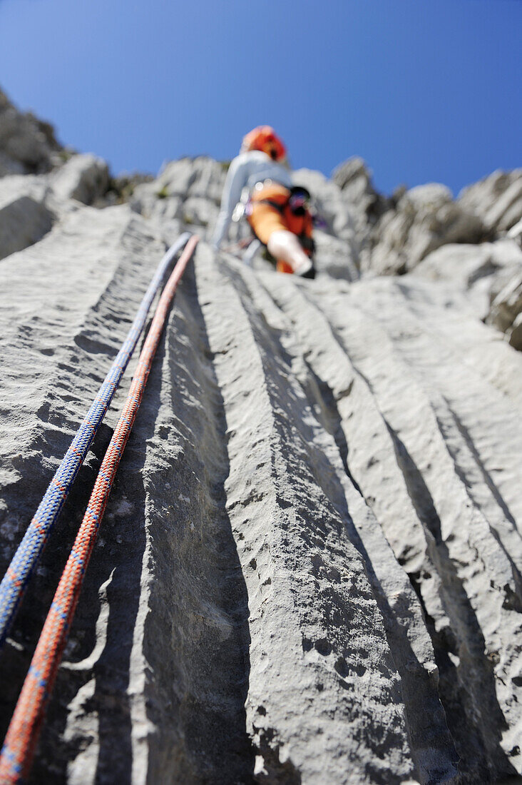 Frau klettert an Felswand, nahe Rifugio Rossi, Pania della Croce, Toskana, Italien