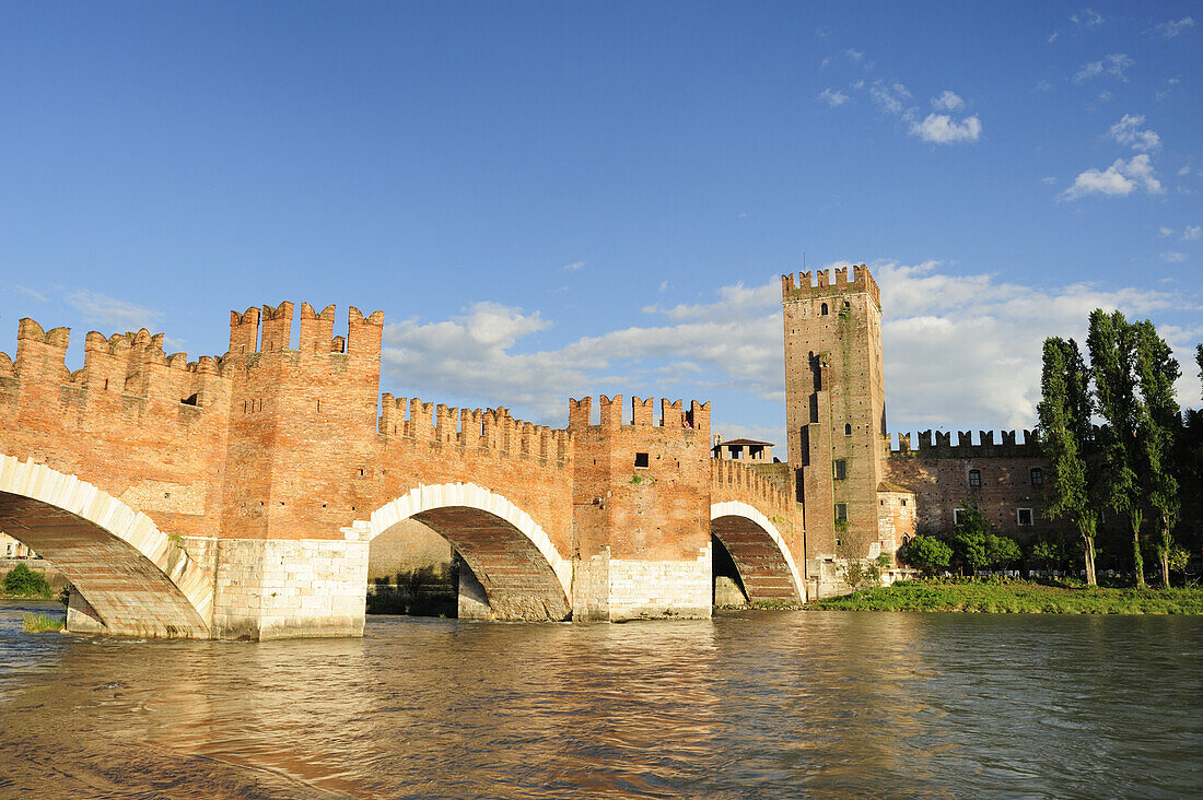 Scaligero bridge, UNESCO World Heritage Site, Verona, Venetia, Italy