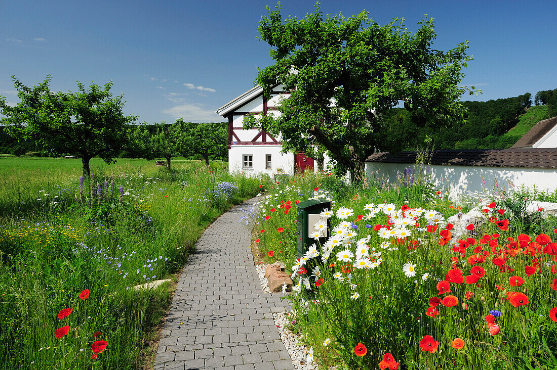 Fachwerkhaus mit Bauerngarten, Altmühltal-Radweg, Naturpark Altmühltal, Altmühltal, Bayern, Deutschland