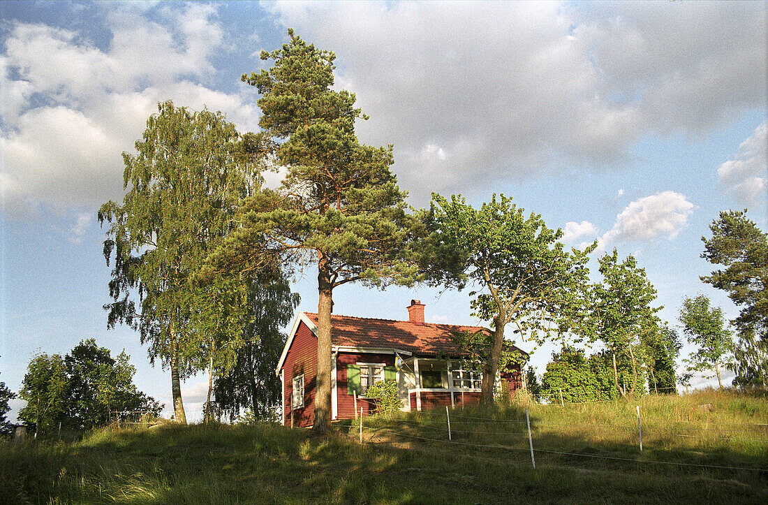 sommerliche Landschaft mit rotem Holzhaus, Smaland, Südschweden, Schweden, Europa