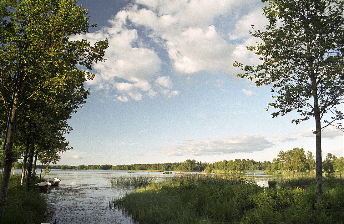 schwedische Sommerlandschaft mit See, Smaland, Südschweden, Schweden, Europa