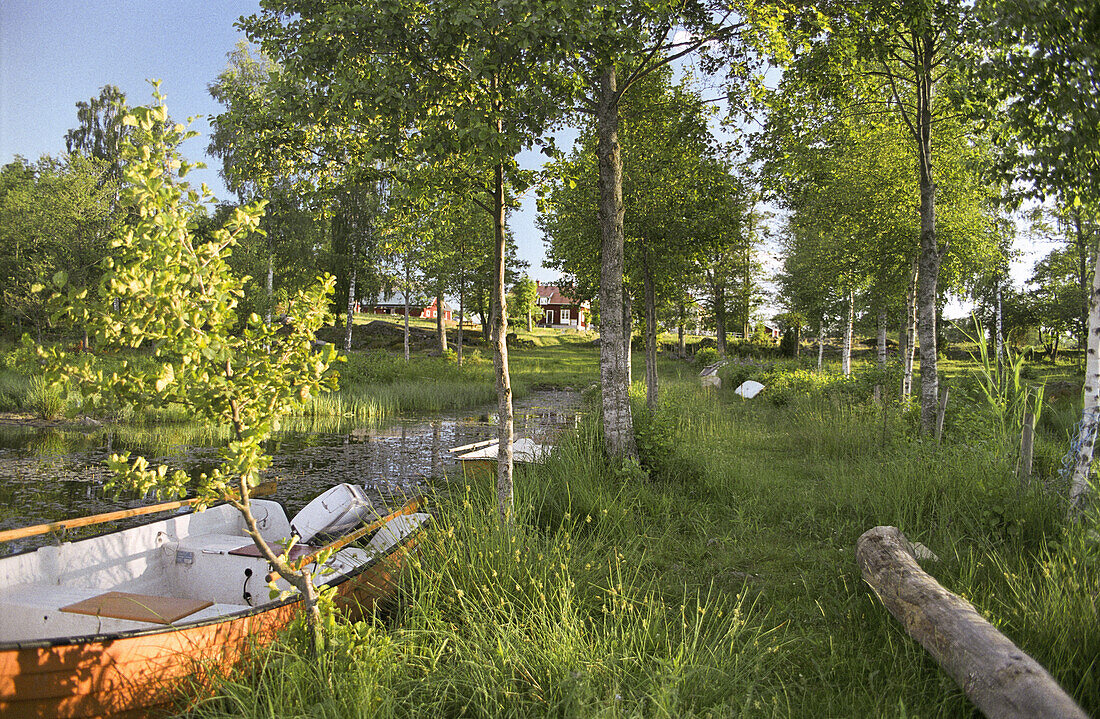 Countryside with lake and rowing boat, Smaland, Sweden, Europe