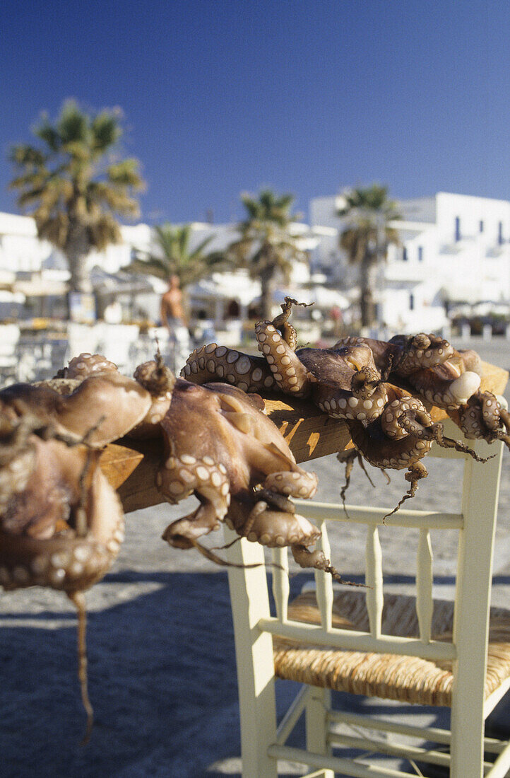 Tintenfische hängen zum Trocknen in der Sonne, Naussa, Insel Paros, Mittelmeer, Griechenland, Europa