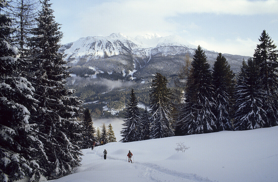 Winter hiking, Winter landscape, Wenns, Jerzens, Pitztal, Tyrol, Austria
