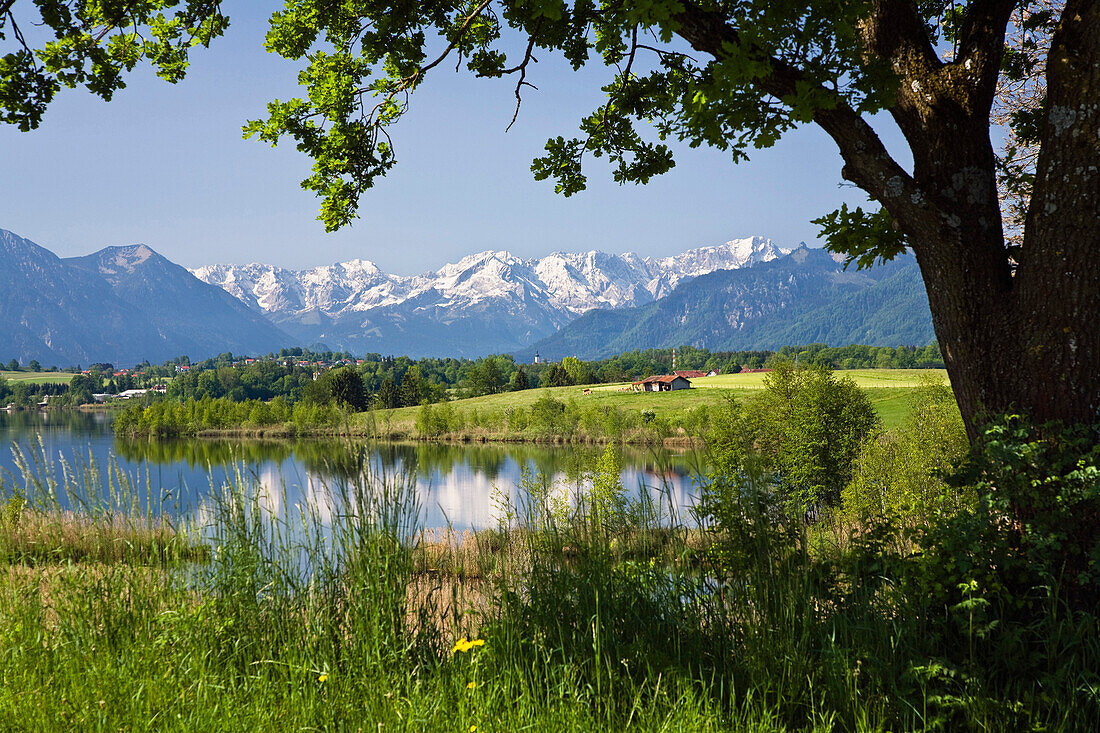 Blick über Riegsee zum Wettersteingebirge im Frühling, Oberbayern, Bayern, Deutschland