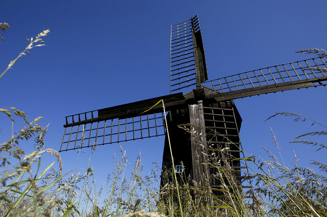 Old windmill in a meadow, Skanör, Skane, South Sweden, Sweden