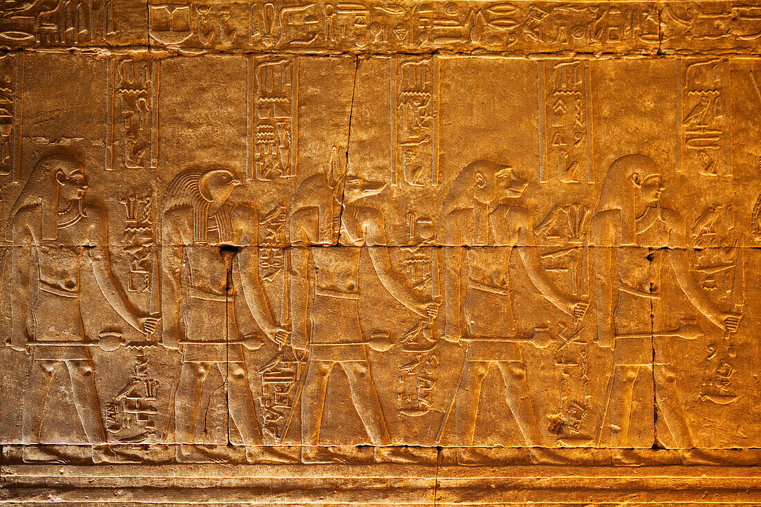 Relief in the Temple of Horus, Temple of Edfu, Edfu, Egypt, Africa