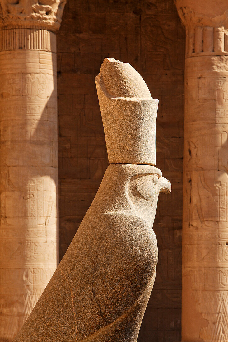 Statue of Horus at the entrance to the courtyard, Temple of Horus, Temple of Edfu, Edfu, Egypt, Africa