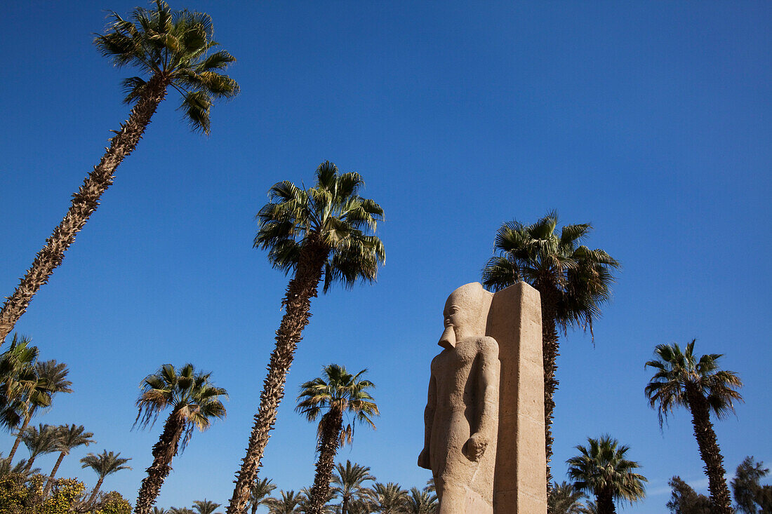 Statue von Ramses II, Memphis, Ägypten, Afrika