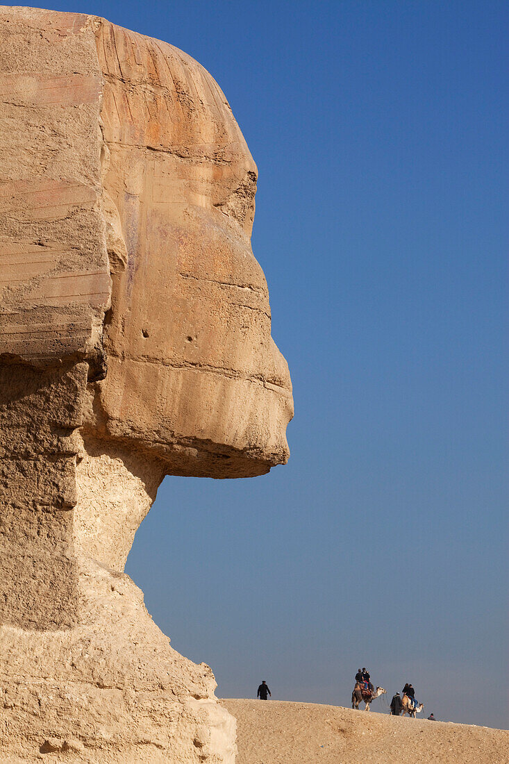 Sphinx im Sonnenlicht, Gizeh, Kairo, Ägypten, Afrika