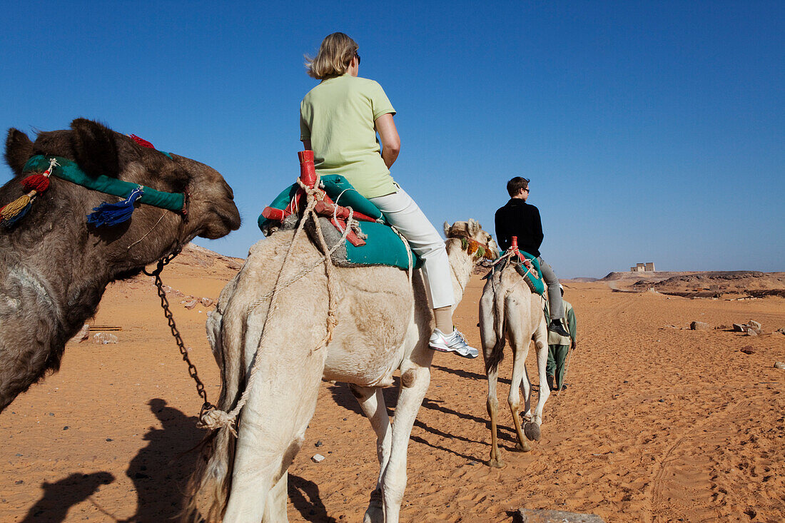 Touristen reiten auf Kamelen zum Tempel von Dakka, Nassersee, Ägypten, Afrika