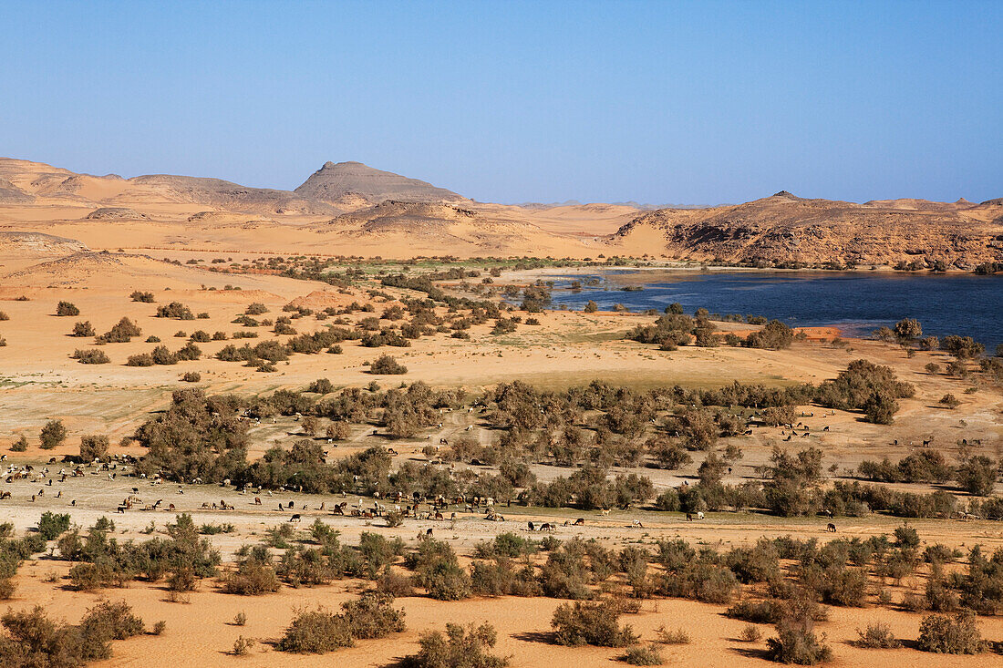 View at Lake Nasser, Dakka, Egypt, Africa
