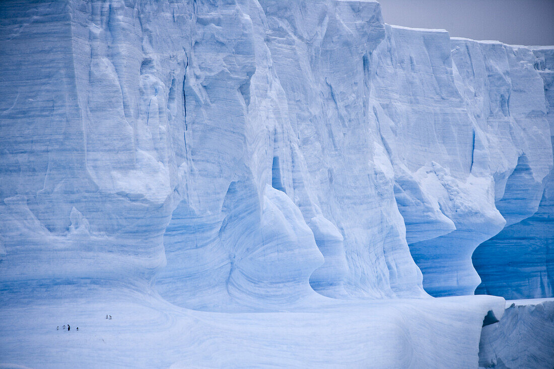 Blauer antarktischer Eisberg, Südliche Shetlandinseln, Antarktis