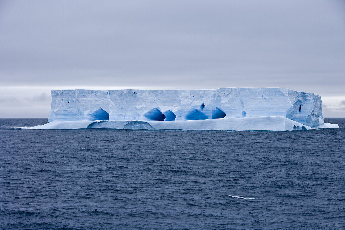 Blue Antarctic iceberg under clouded sky, South Shetland Islands, Antarctica