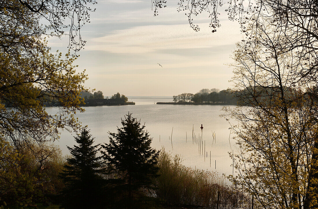 Binnensee in Roebel, Mecklenburger Seenplatte, Mecklenburg-Vorpommern, Deutschland