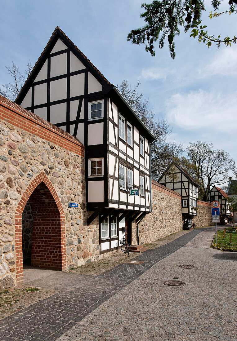 Wiekhaeuser in Neubrandenburg, Mecklenburger Seenplatte, Mecklenburg-Vorpommern, Deutschland