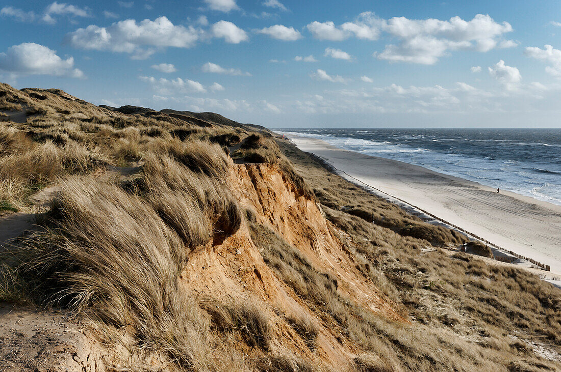 Naturschutzgebiet Duenenlandschaft auf dem Rotem Kliff in Kampen, Sylt, Schleswig-Holstein, Deutschland