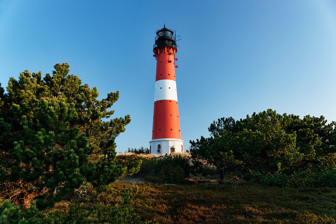 Lighthouse at Hoernum, Sylt, Schleswig-Holstein, Germany