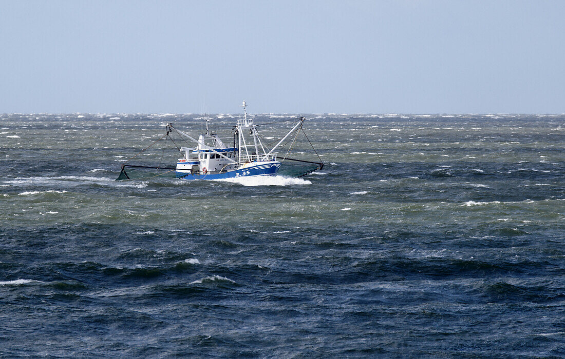 Shrimp trawler on the North Sea near List, Sylt, Schleswig-Holstein, Germany