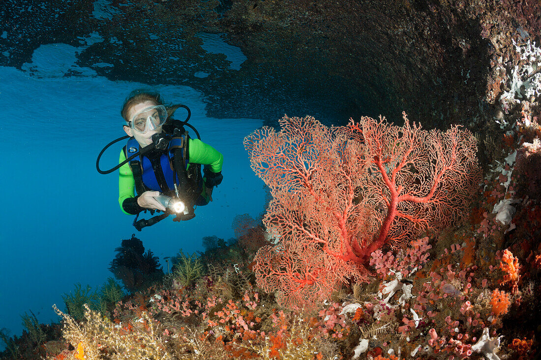 Scuba Diver at Coral Reef, Raja Ampat, West Papua, Indonesia