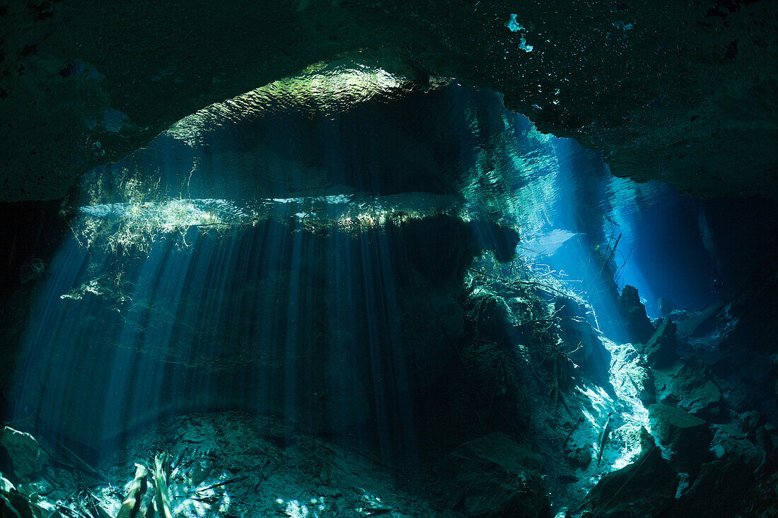 Entrance of Chac Mool Cenote, Playa del Carmen, Yucatan Peninsula, Mexico