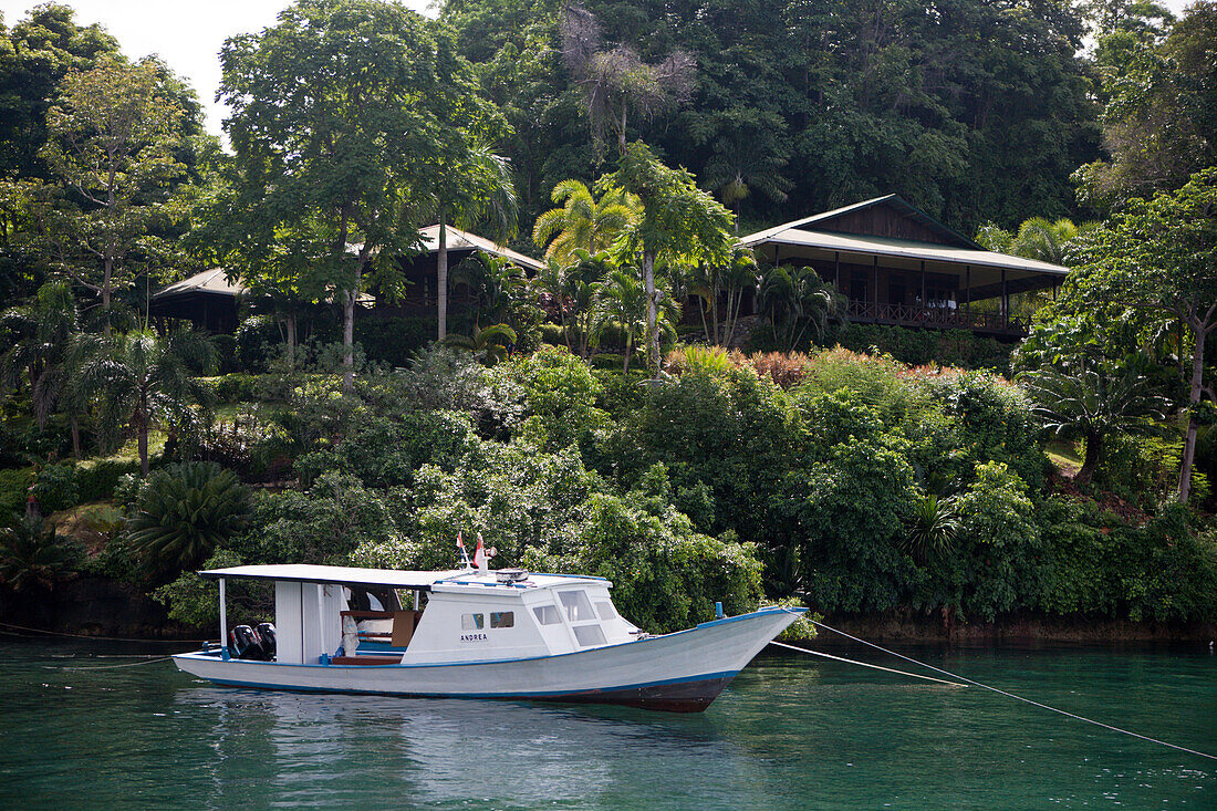 Lembeh Strait Resort, Nord Sulawesi, Indonesien