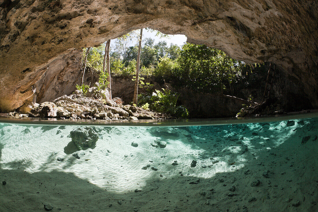 Eingang in Gran Cenote, Tulum, Yucatan Halbinsel, Mexiko