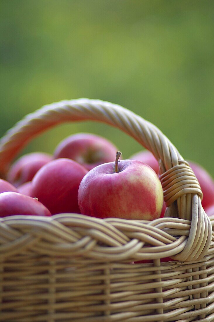 Ein Apfel im Korb mit roten Apfel