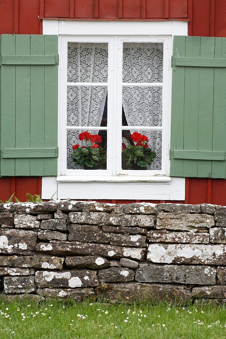 Flowers with curtains in the window of an old house