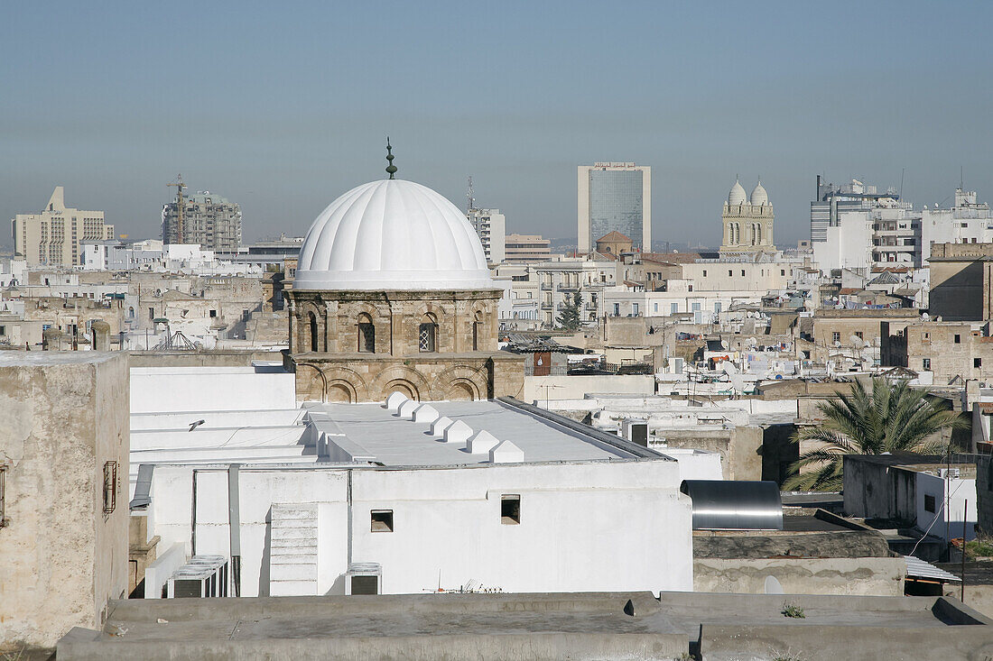 A dome over the prair hall on the grand mosque in Tunis. Tunisia.
