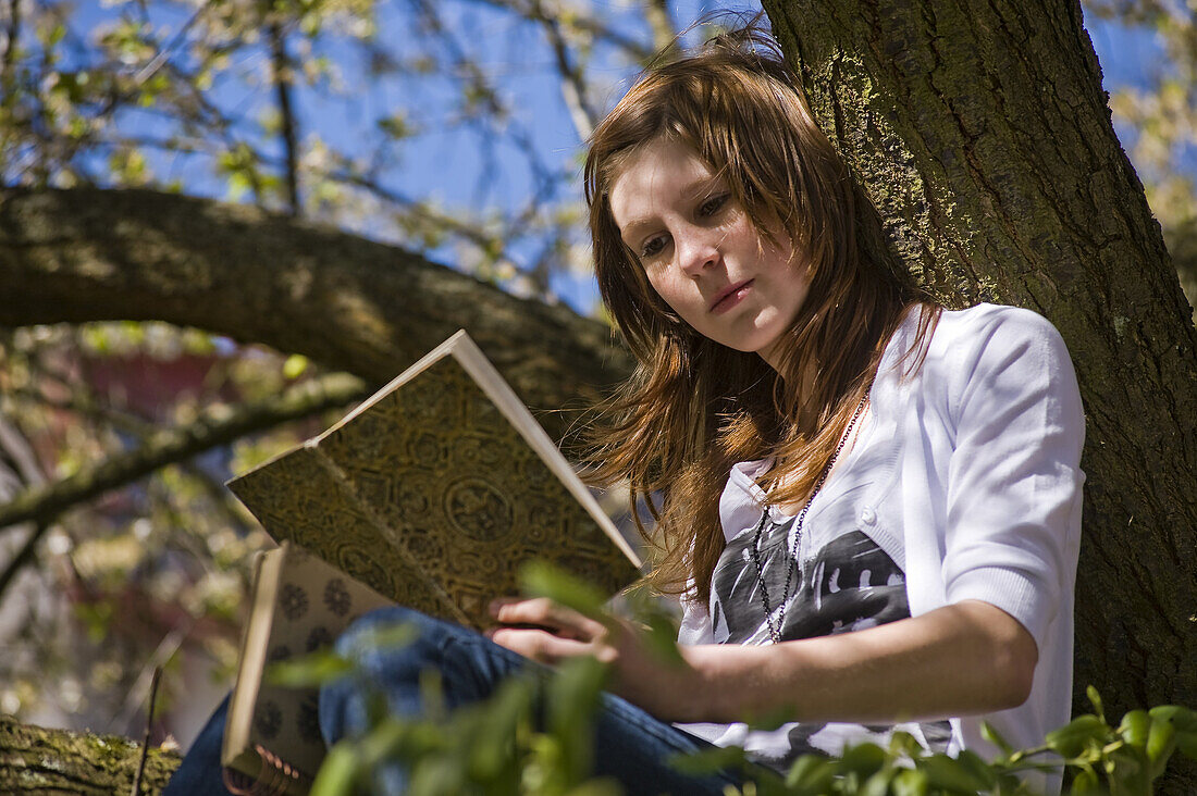 Student are reading in a tree