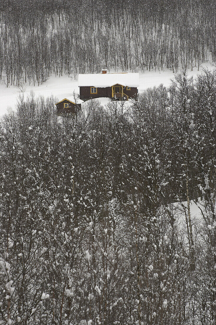 Timber house in winter