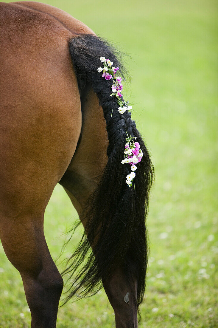 Riding school