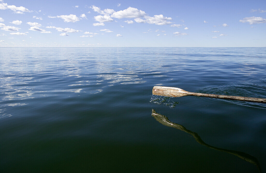 Oar in calm water