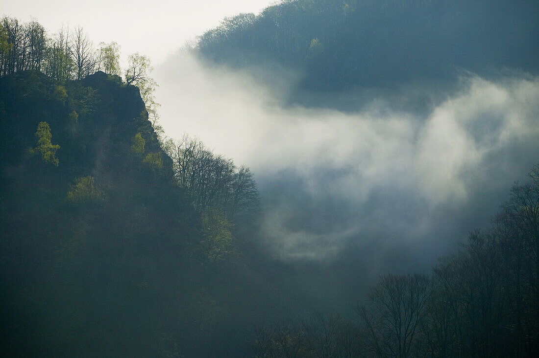 Fog in the ravine in Skäralid, Skåne, Sweden