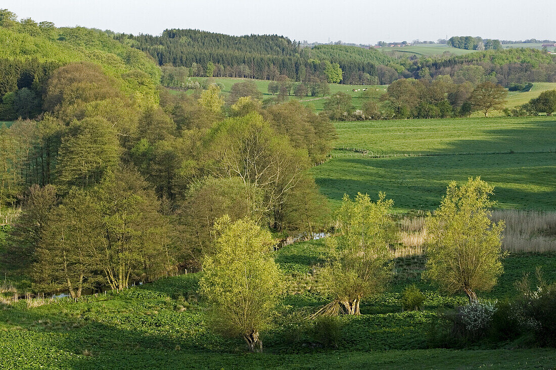 Fyle valley (Fyledalen), Tomelilla, Skåne, Sweden