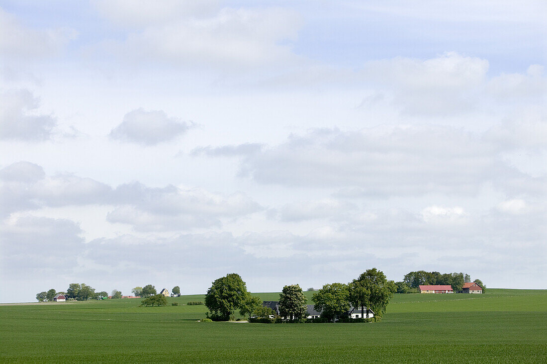 Farms on the fields, Eslöv, Skåne, Sweden