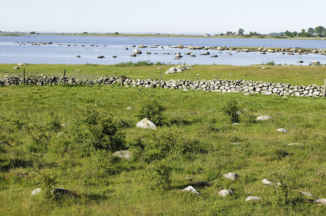 Meadowland and stone walls, Tosteberga meadows, Skane, Sweden