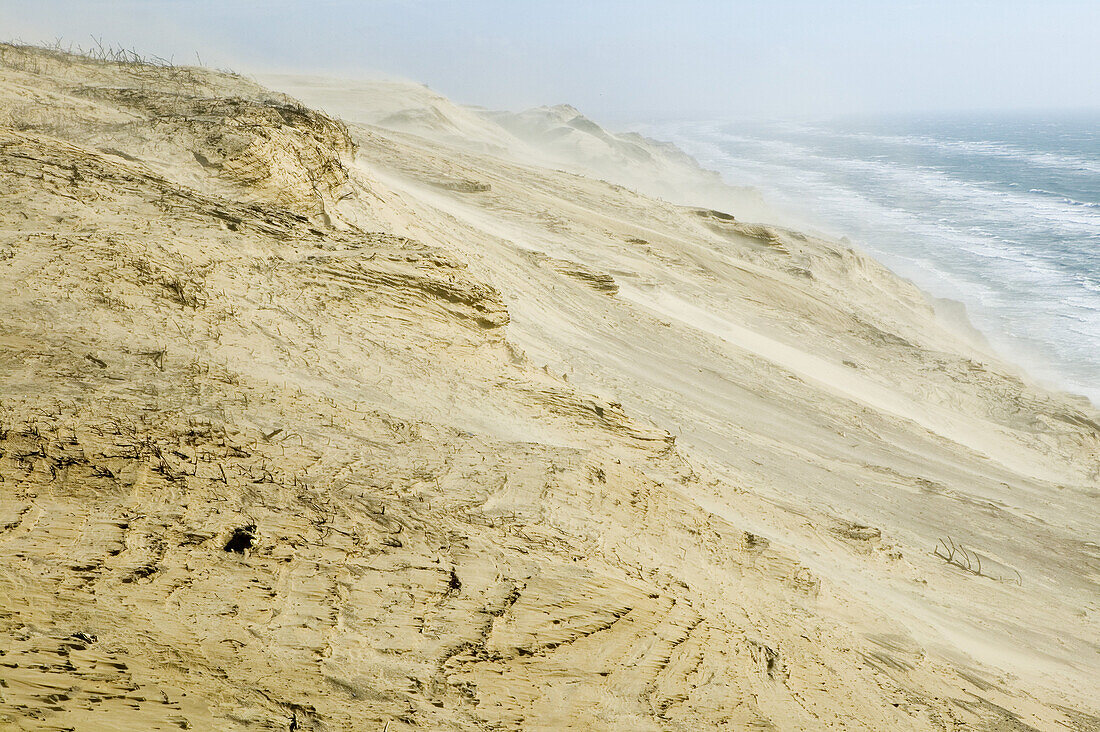 Sand dunes, Rubjerg, Jutland, Denmark
