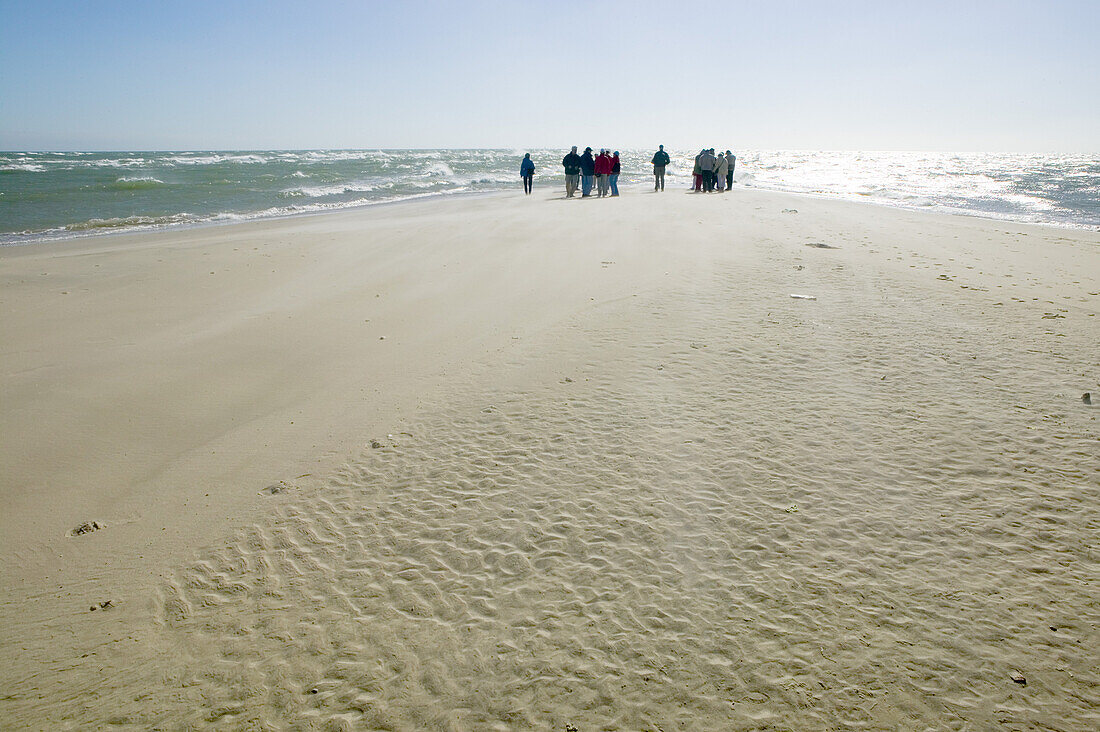 People on the beach, Skagen, Jutland, Denmark