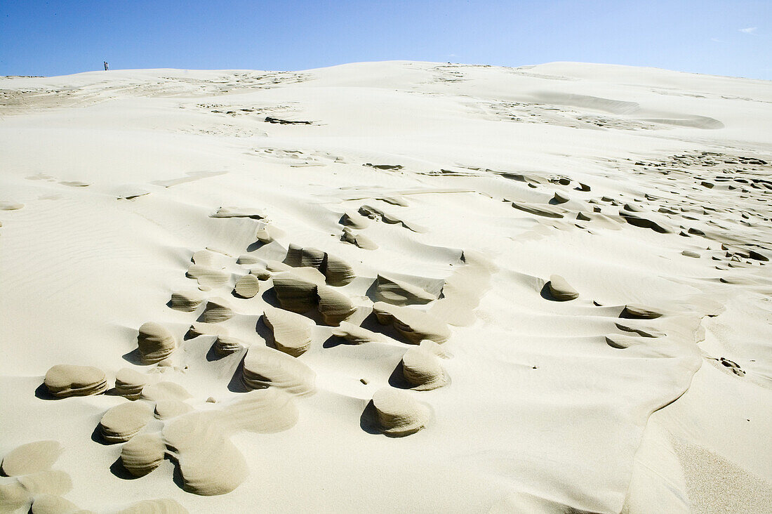 Sand dunes, Raabjerg Mölle, Jutland, Denmark